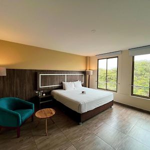 Rado Hotel - Quintanas